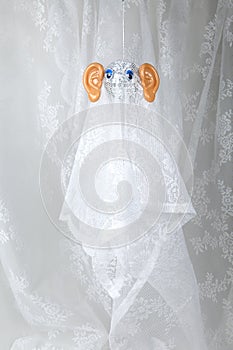 Ghost in lace curtain big ear