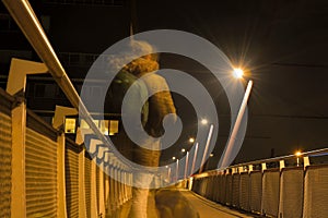 Ghost of a Man and dog on a Pedestrian bridge at night