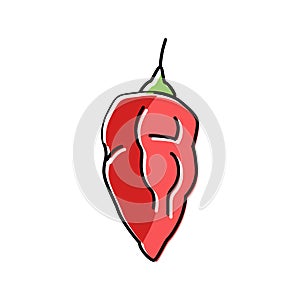 ghost pepper color icon vector illustration photo