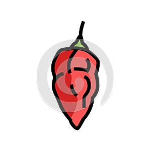 ghost pepper color icon vector illustration photo