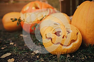 Ghost pumpkins on Halloween. ead Jack on an autumn background. Holiday outdoor decorations