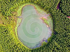 Ghost shaped drone  landscape. Top down aerial view of a small pond in the middle of a forest, reflecting clouds in the sky. Bird