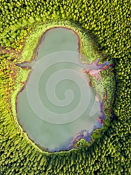 Ghost shaped drone landscape. Top down aerial view of a small pond in the middle of a forest, reflecting clouds in the sky. Bird v