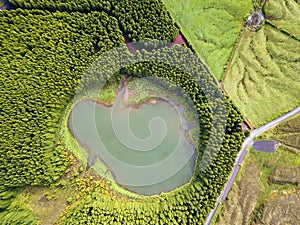 Ghost shaped drone landscape. Top down aerial view of a small pond in the middle of a forest, reflecting clouds in the sky. Bird v