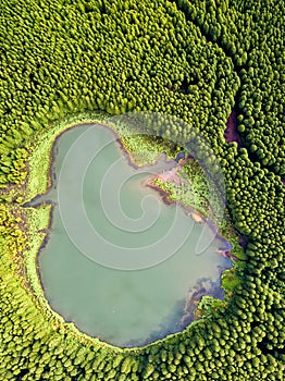 Ghost shaped drone landscape. Top down aerial view of a small pond in the middle of a forest, reflecting clouds in the sky. Bird v