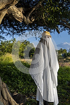 ghost standing around vegetation in broad daylight, at sunset, mexico