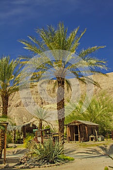 Ghost town in the old west, Death Valley