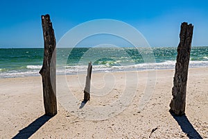 Ghost Tree on Lovers Key Beach