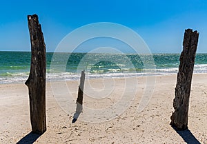 Ghost Tree on Lovers Key Beach,