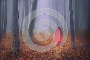 Ghostly red figure in foggy beautiful forest