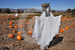 Ghoulish screaming Halloween scarecrow