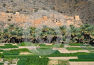 Ghul, in sultanate Oman