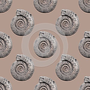 Giant ammonite, a subclass of extinct cephalopods. Seamless pattern for design of clothes, printing on wrapping paper photo