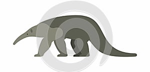 Giant anteater