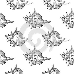 Giant Atlantic Murex. Black and white seashelles. Hand-drawn collection of seamless patterns. Vector illustration.