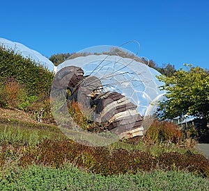 Giant Bee at The Eden Project Biomes Cornwall UK