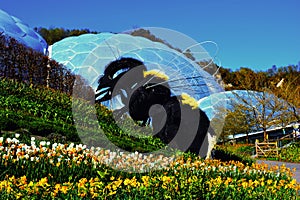 Giant Bee at The Eden Project in Cornwall, England