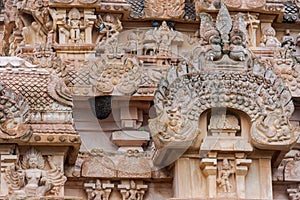 Giant bee hive and parrot at the Brihadeeswarar temple in Gangaikonda Cholapuram, Tamil Nadu, South India on overcast day