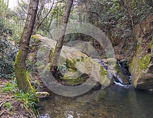 Giant boulder at the Vallcarquera creek