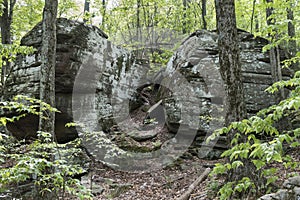 Giant Boulders in a Catskill Mountain Forest