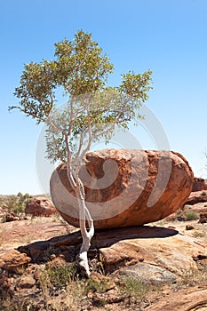 Giant boulders Devils Marbles Australia