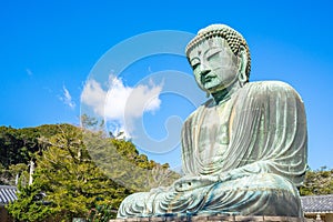 The Giant Buddha or Daibutsu in Kamakura, Japan