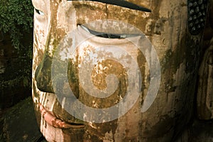 Giant buddha's face in leshan, sichuan, china