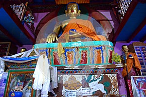 A Giant Buddha Statue