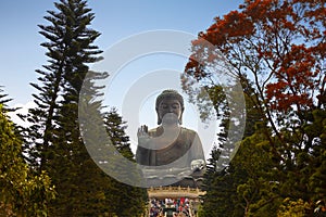 Giant buddha statue