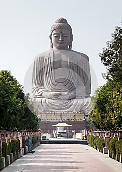 The Giant Buddha Statue and tiny chipmunk.