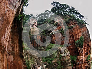 Giant Budha