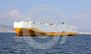 Giant cargo ship in sea