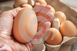 Giant chicken egg in hand. Big size of brown egg. Fresh yellow eggs in sunlight. Healthy organic food.