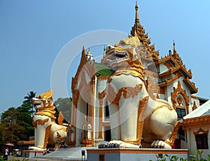 Giant Chinthe, Shwedagon img