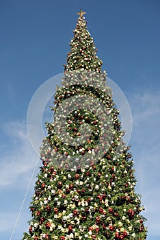 Giant Christmas tree against