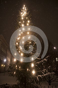 Giant Christmas tree in Stockholm