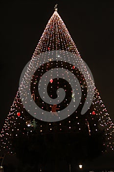 Giant Christmas tree in Stockholm