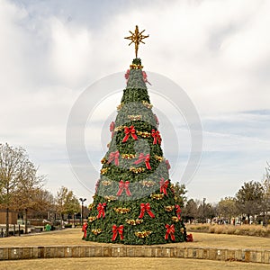 Giant Christmas tree in Wayne Ferguson Plaza in the City of Lewisville, Texas. photo