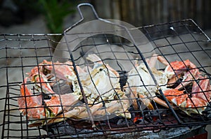 Giant crab beeing grilled on simple coal fire barbecue at Tokeh Beach, Sierra Leone, Africa