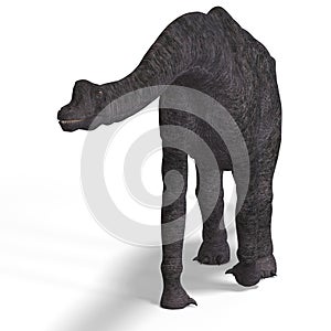 Giant dinosaur brachiosaurus With Clipping Path