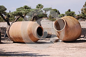 Giant earthenware pots for planting trees