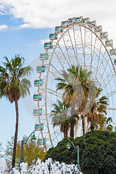 Giant Ferris Wheel in Malaga