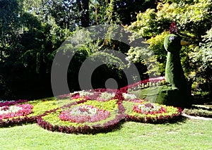 Giant flower bird