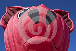 Giant, Flying Pig Head