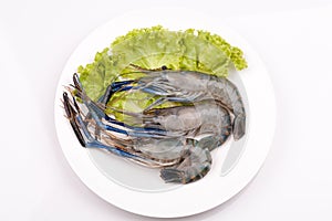 Giant freshwater prawn, Fresh shrimp isolate on white background