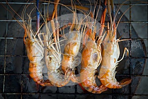 Giant freshwater prawn are grilled