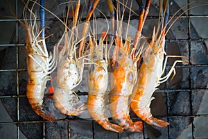 Giant freshwater prawn are grilled