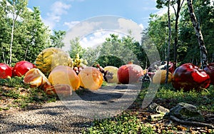 Giant fruits in the wonder  forest