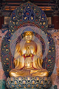 Giant Golden Buddha