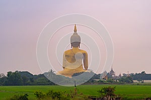The Giant Golden Buddha in Wat Muang in Ang Thong district with paddy rice field near Bangkok. Urban town city, Thailand